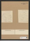 Auliscus samaruensis Grove et Sturt. (de-Toni-Nr.: Genus 171, Species 4369) Zeichnungen Sammlung Grunow Nr. 7935 (NHMW-BOT-W0377214)